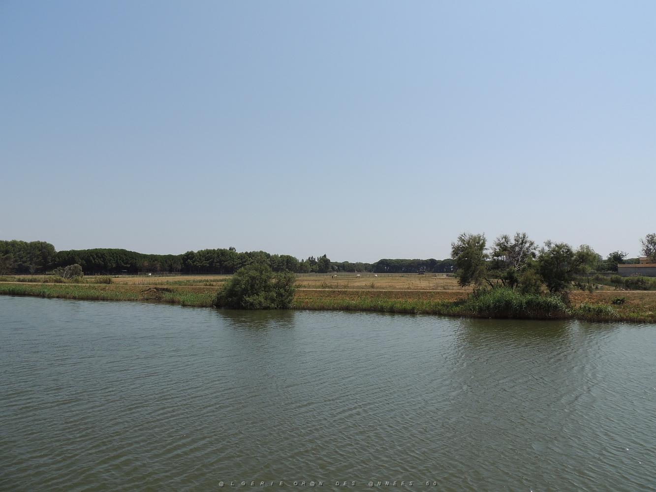 2022 07 UN AIR DE VACANCES 22 AIGUES MORTES (56).JPG -           